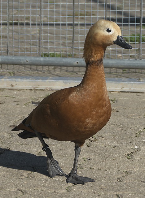 相信对于湖