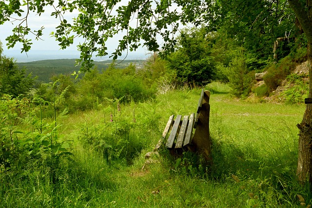 略体现了他 略体现了他